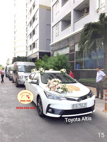 XE HOA  TOYOTA ALTIS