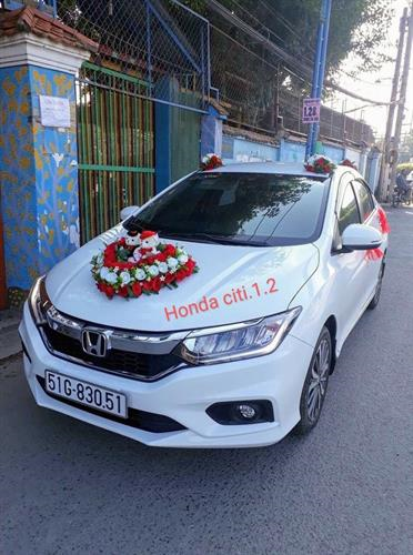 XE HOA  HONDA CITI